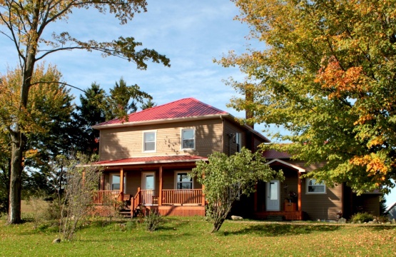 Les Copains d’abord